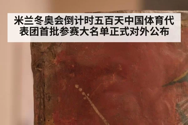 米兰冬奥会倒计时五百天中国体育代表团首批参赛大名单正式对外公布